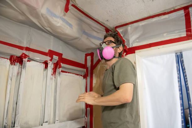 Best Mold-Related Health Consultation  in Cascade Chipita Park, CO