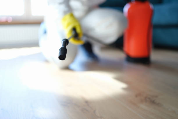 Reliable Cascade Chipita Park, CO Mold Removal Solutions