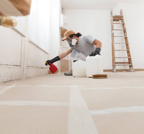 Best Residential Mold Inspection & Testing  in Cascade Chipita Park, CO