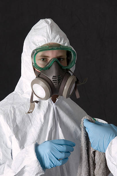 Best Mold Remediation for Healthcare Facilities  in Cascade Chipita Park, CO
